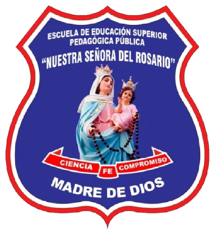 AULA VIRTUAL EESPP NSR